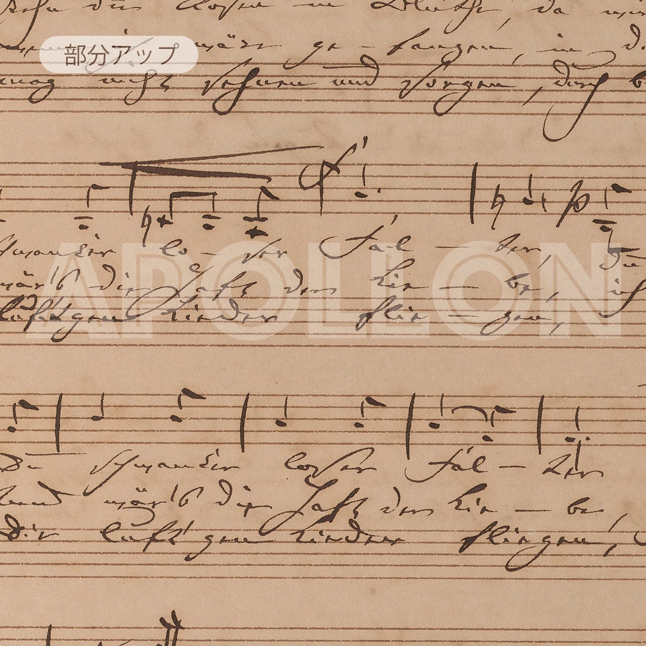 連弾輸入楽譜（ブラームス、ウェーバー、ベートーベン、シューマン ）5冊セット シューマン：ノベレッテン｜全音オンラインショップ ｜ 全音楽譜出版社