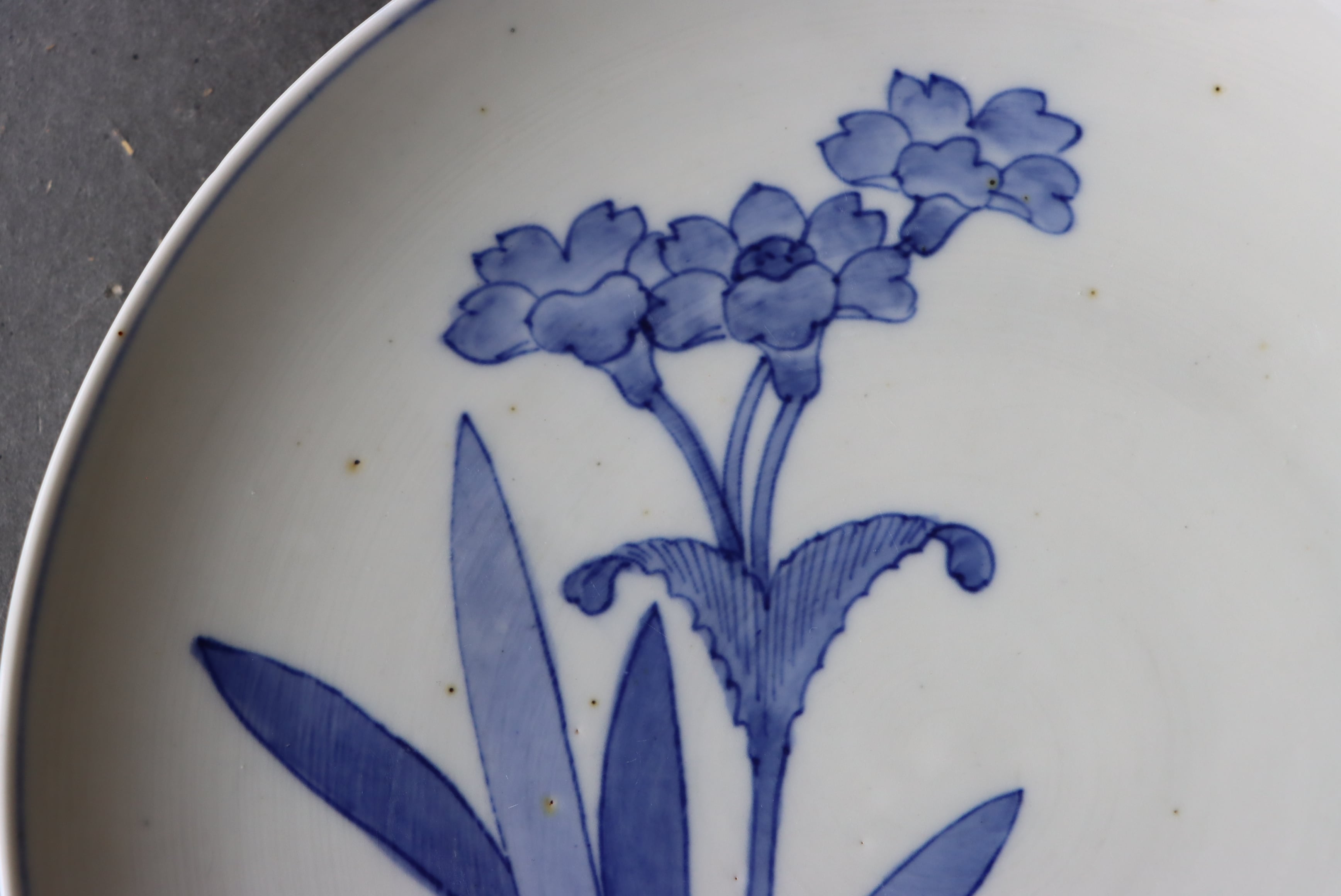 染付 阿蘭陀石竹文 中皿 七寸/Blue and white medium size plate | (有