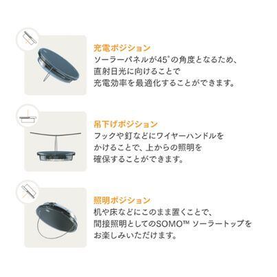 ソネングラス®︎ 1000ml *Classic *Generation6*カメスポンジ ソネングラス®︎ 1000ml *Classic *Generation6*カメスポンジ