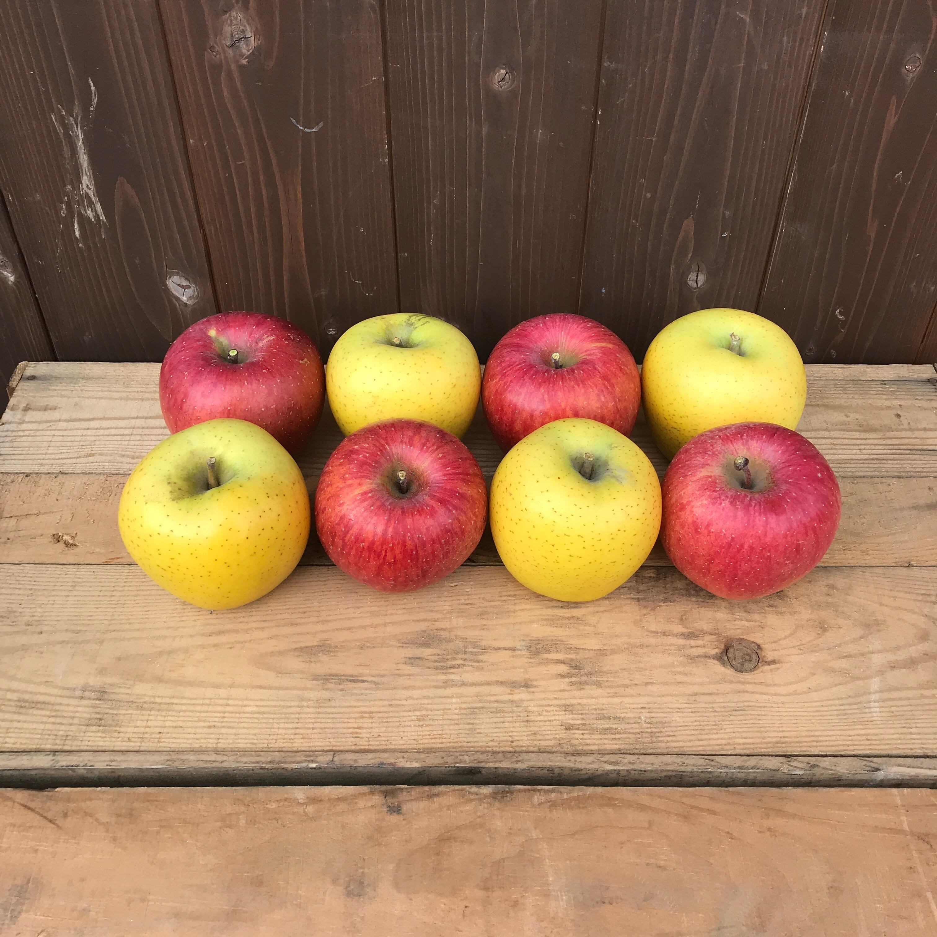 りんご【】3つ星2色3㎏（8玉） | よしとし果樹