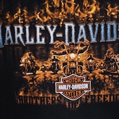 Harley-Davidson Crawfish print tee