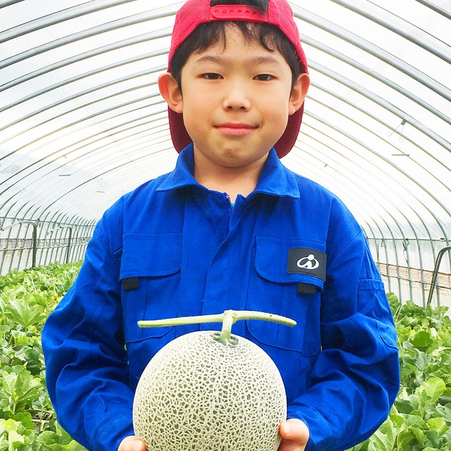 最高級富良野メロン　ルピアレッド　秀品　大玉(1.6~2.0キロ未満)5玉入(8キロ)×2箱