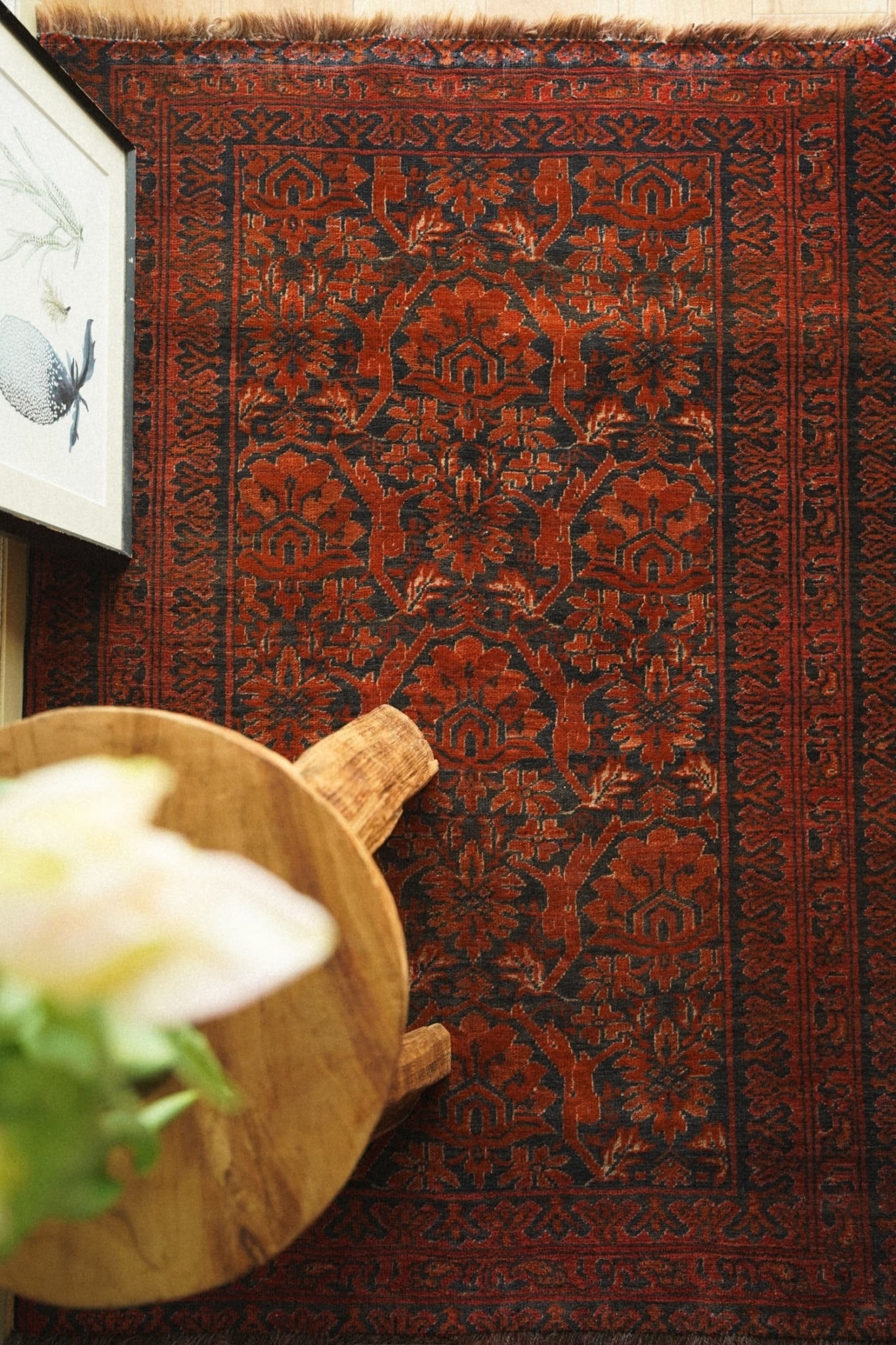 1500-Vintage Turkmen rug