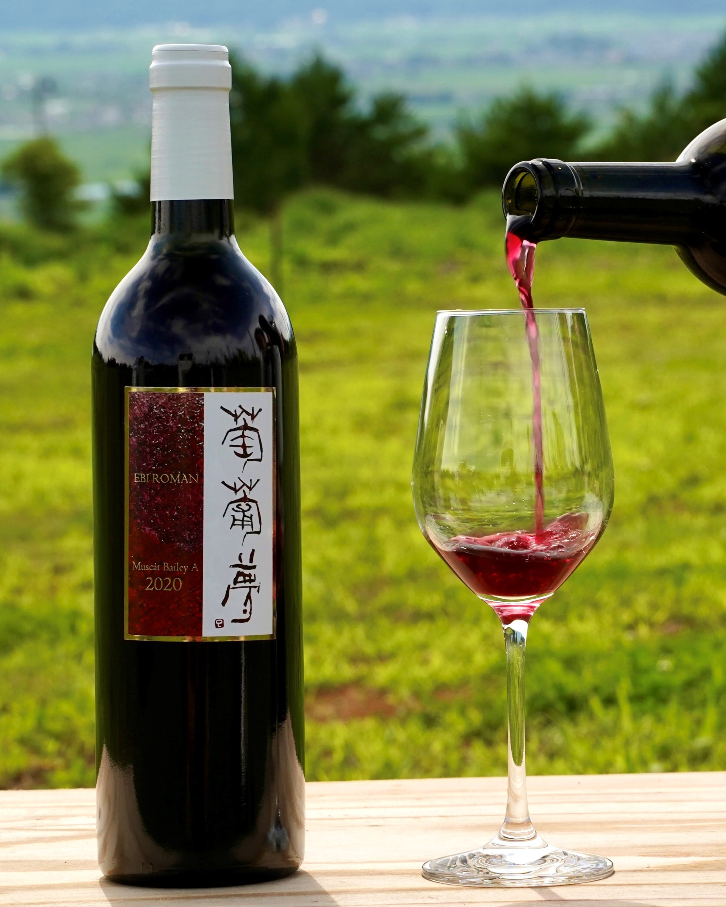 NEW‼ スチューベンスパークリング 2024 飲み切りハーフサイズ | WINERY JUN