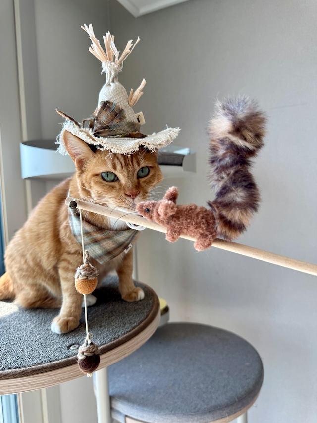 squirrel rod from WETNOSE 猫じゃらし りす おもちゃ