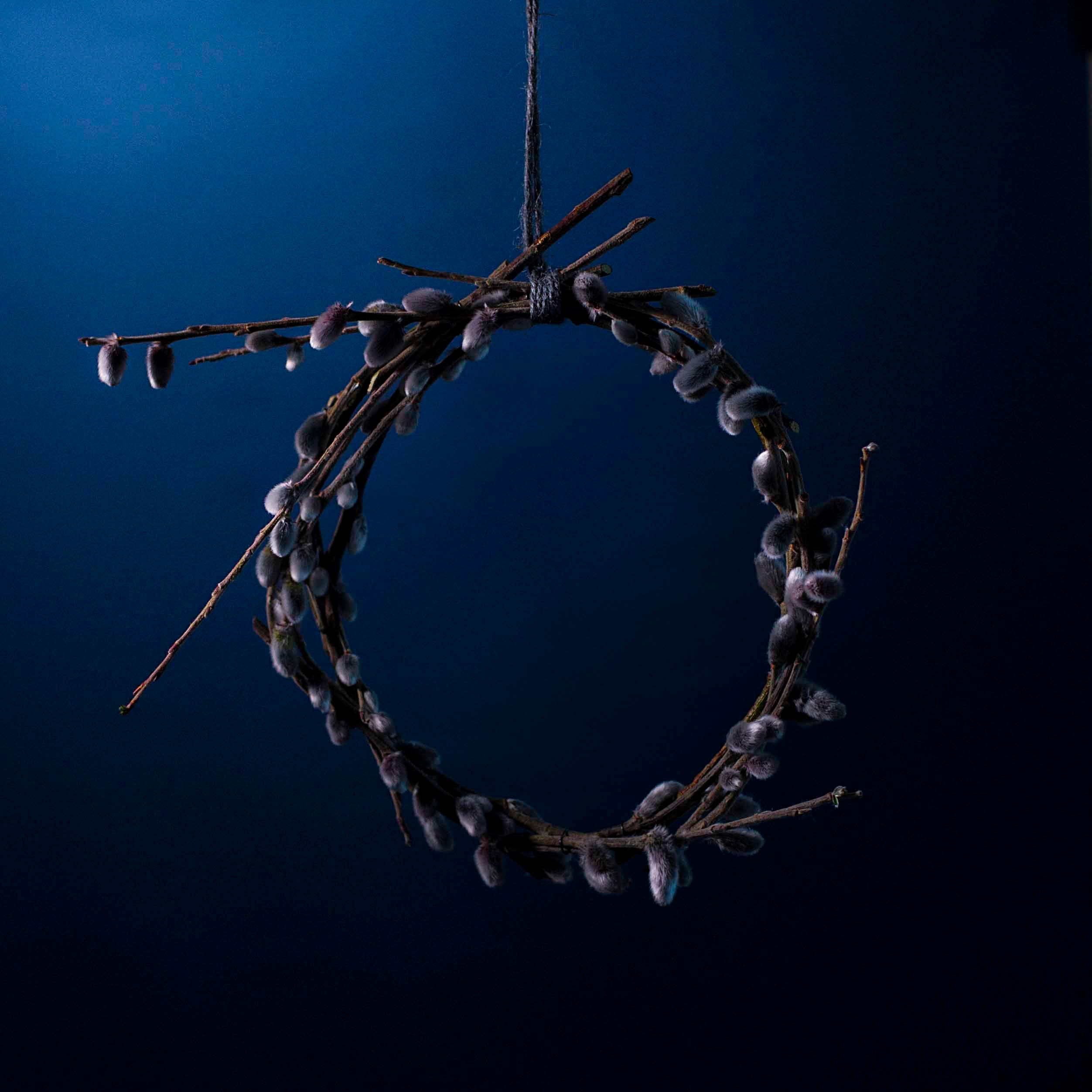 ドライフラワー 猫柳リース Dry Flower Salix Gracilistyla Wreath