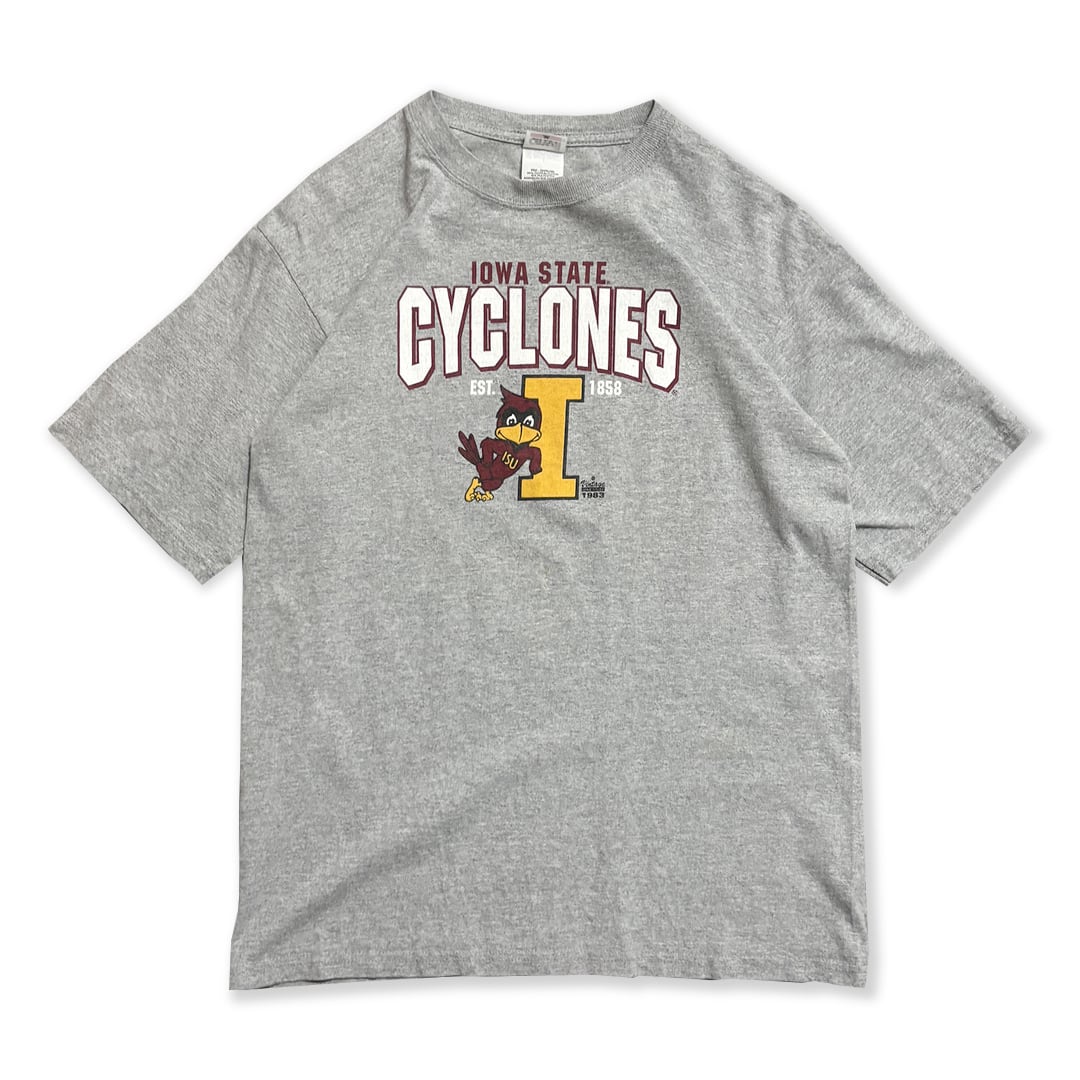 Iowa State University Kids Printed T-Shirt. anvil
