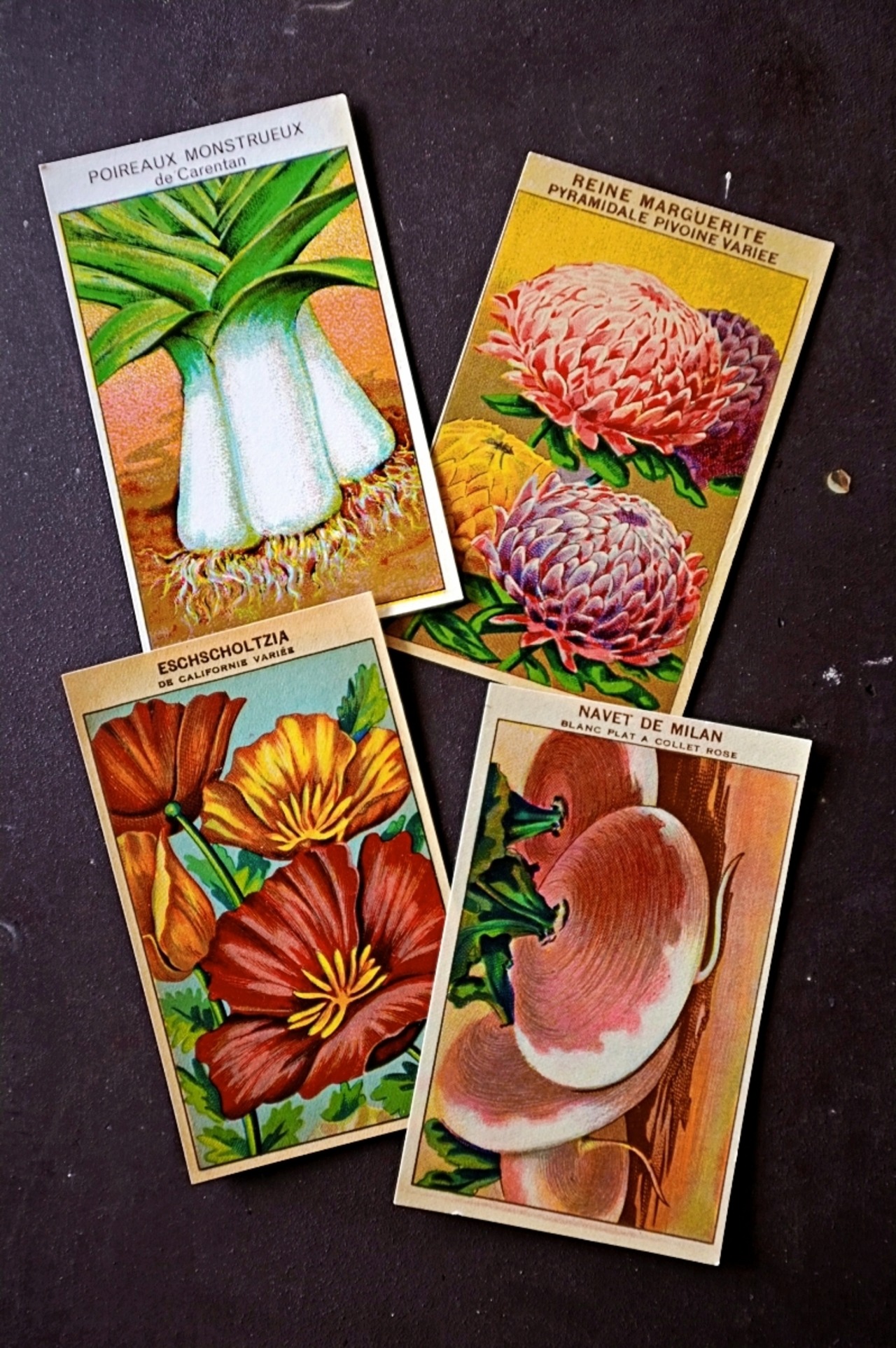 20s フランス 4set 膨満な花々と野菜たち 種子袋用ラベルu アンティーク