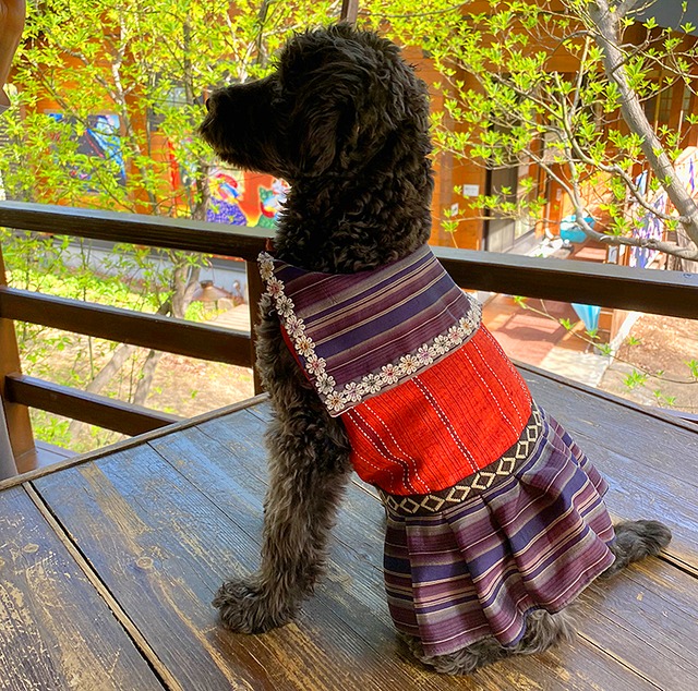 わんこ服小型犬用XS "赤色の紬とチェック柄の襟＆スカート”A-1