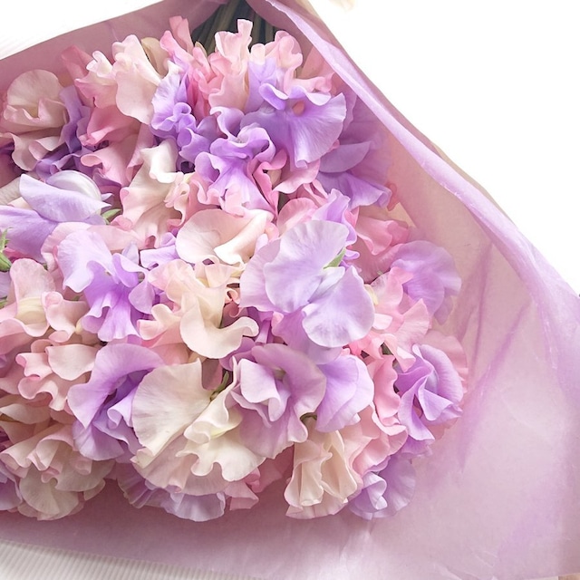 スイートピー 30本 花束しっとり大人なピンク紫MIX