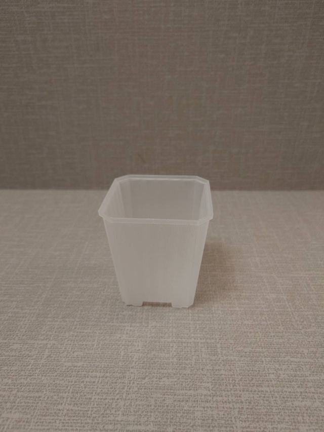 【Ｋ2】7㎝ルータルスリット鉢　 クリア（12個セット）