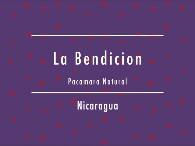 【200g】ニカラグア / La Bendicion "Pacamara" Natural