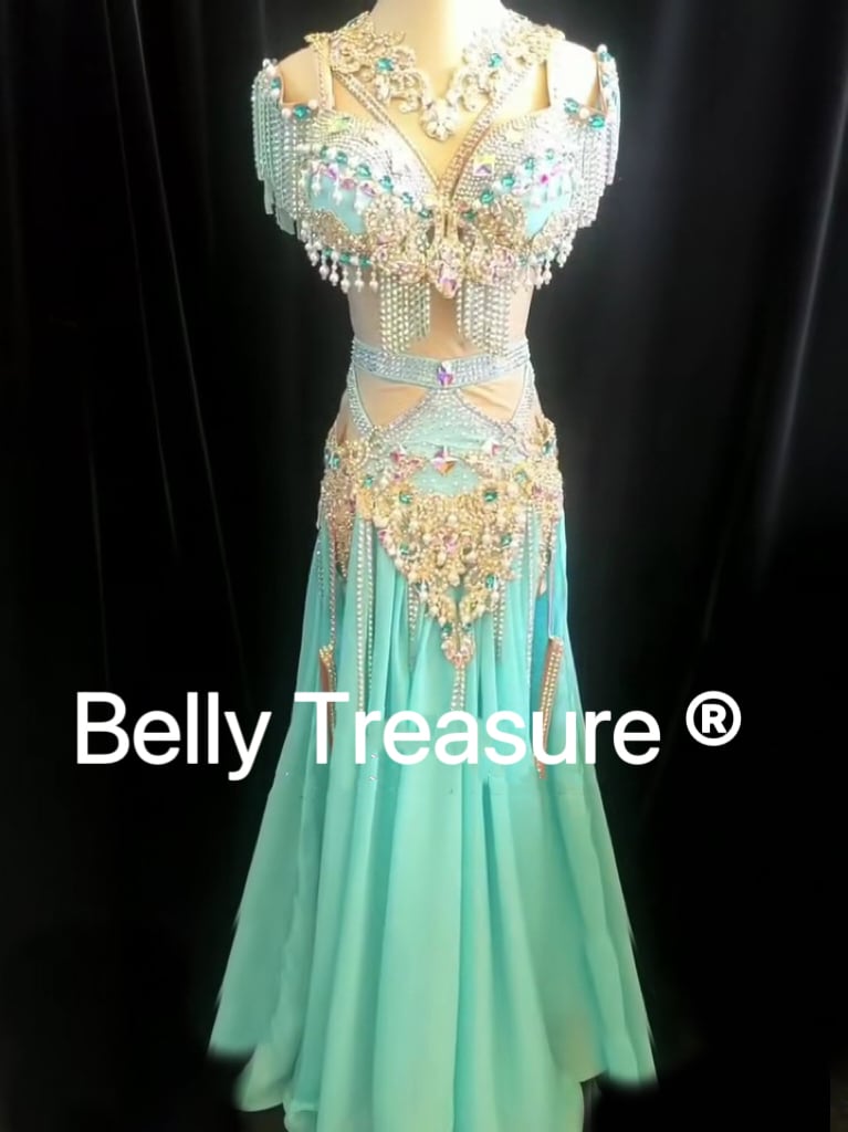 ベリーダンス衣装 ブラスカートアクセサリー付 豪華 オーダーメイド ベリーダンス オーダーメイド衣装 LY 2170 202306 | Belly