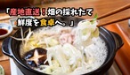 深谷蜜ねぎ2,5キロ