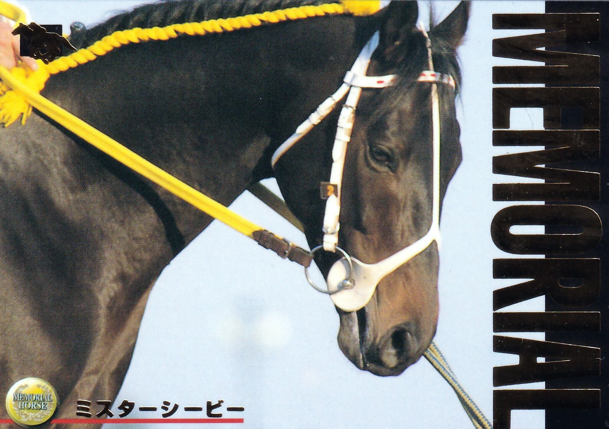 サラブレッドカード96年下半期 | カードショップ うるま屋