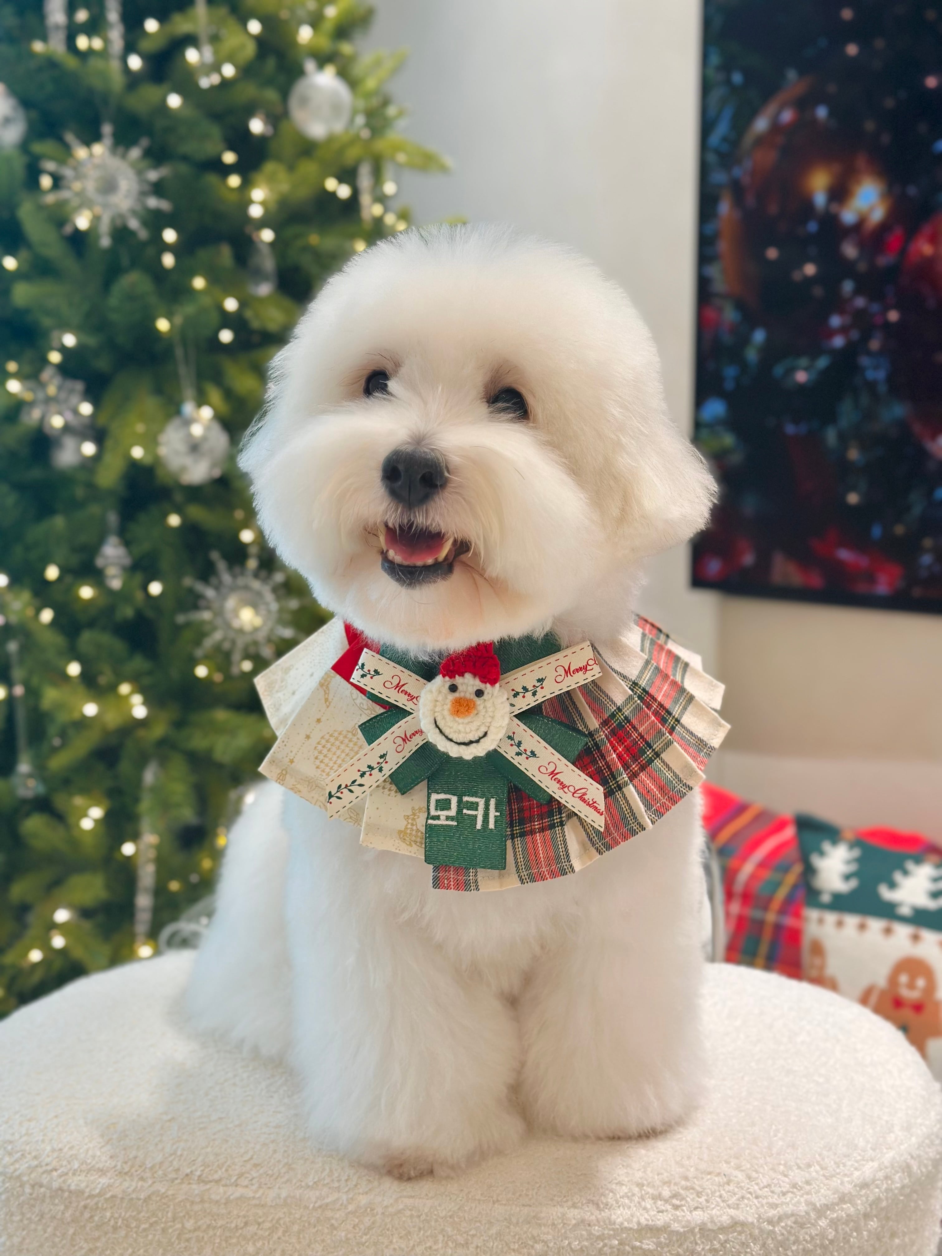 限定予約【MR.MOKA】Holidy Half＆Half 3block Accordion Cape