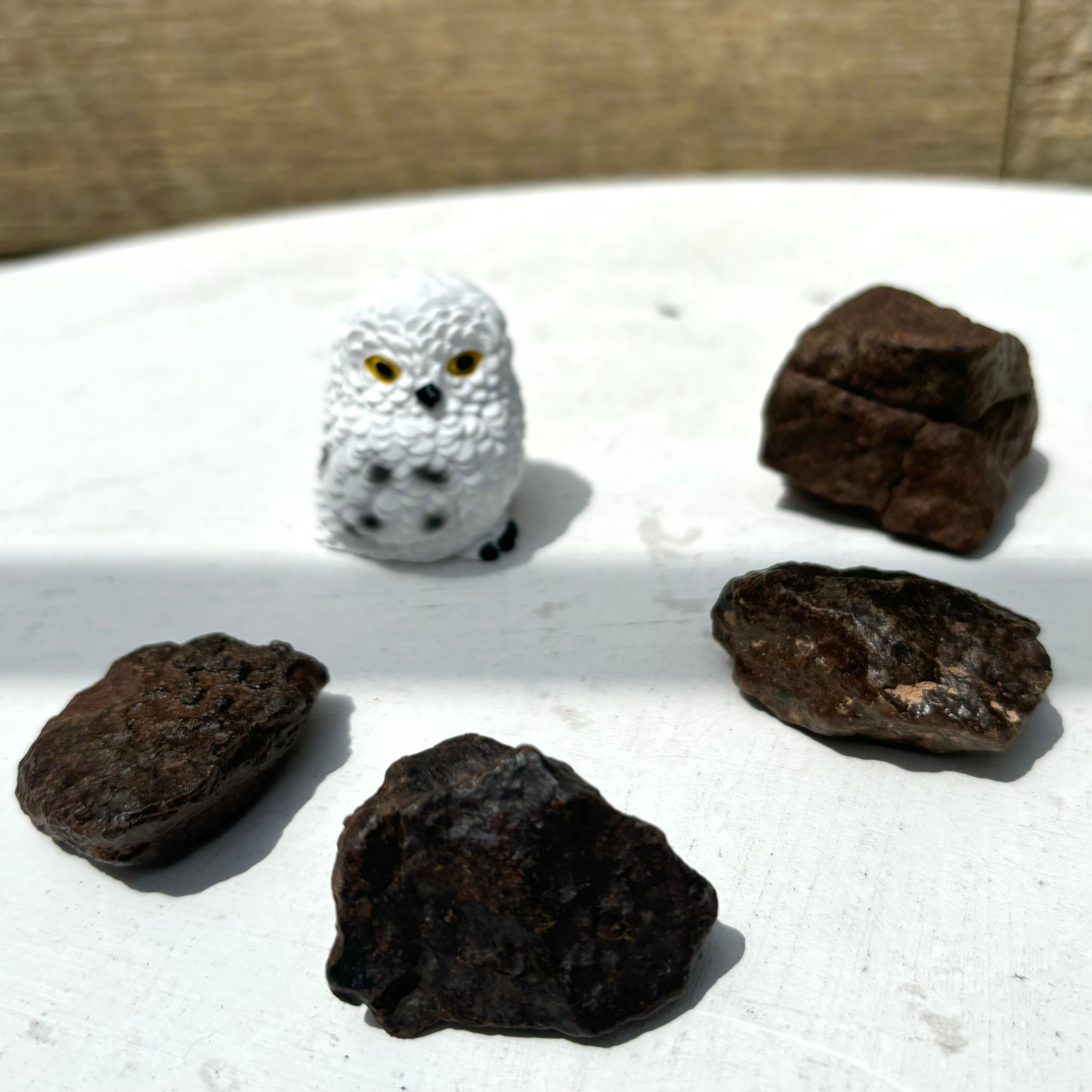 コンドライト隕石L5-6 鑑別書付き モロッコ産 楽天市場】コンドライト