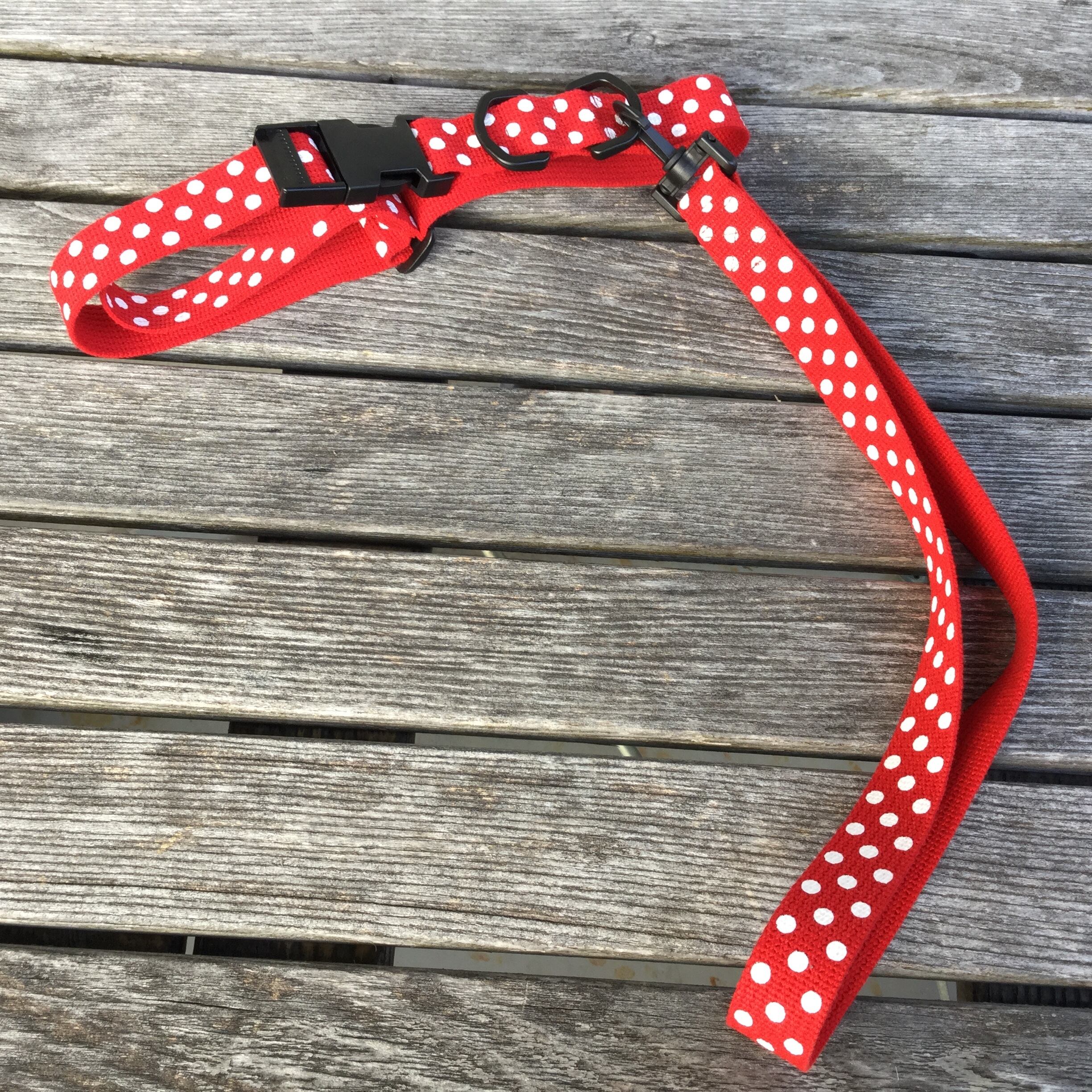 首輪とショートリード レッド水玉