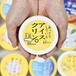 高知アイスさんのアイスクリームセット(16個入り)