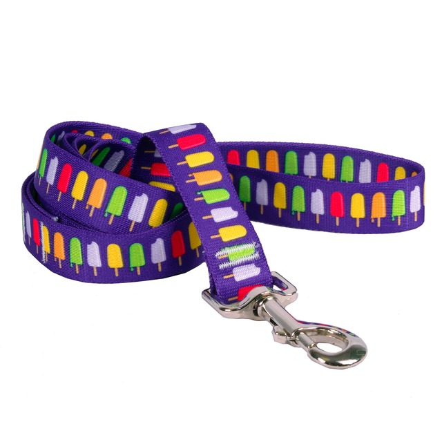 Popsicles 首輪Sサイズ＋リードXSサイズ セット - Yellow Dog Design