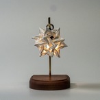 CONPE10 mini　Coral