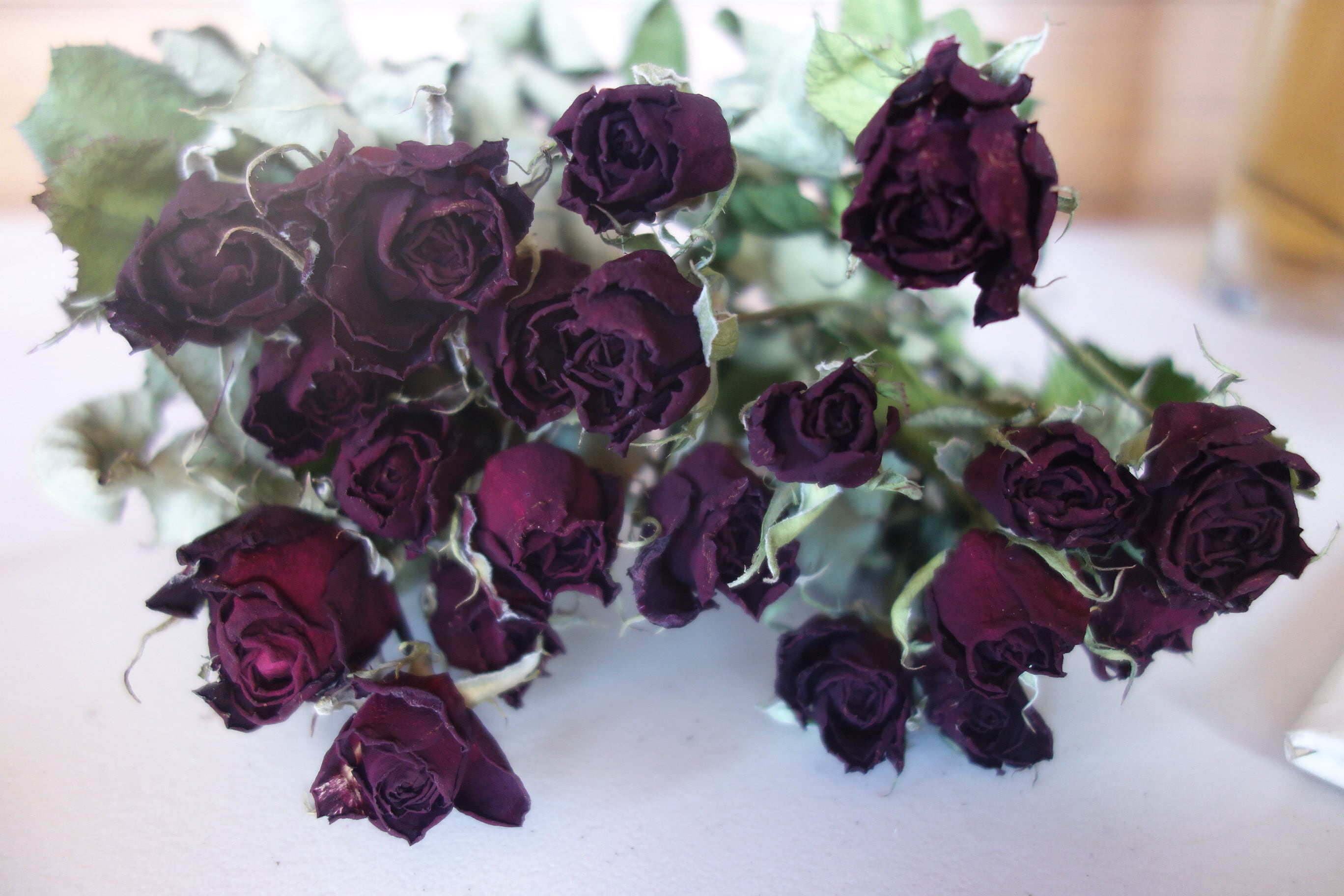 神生バラ園BASE SHOP