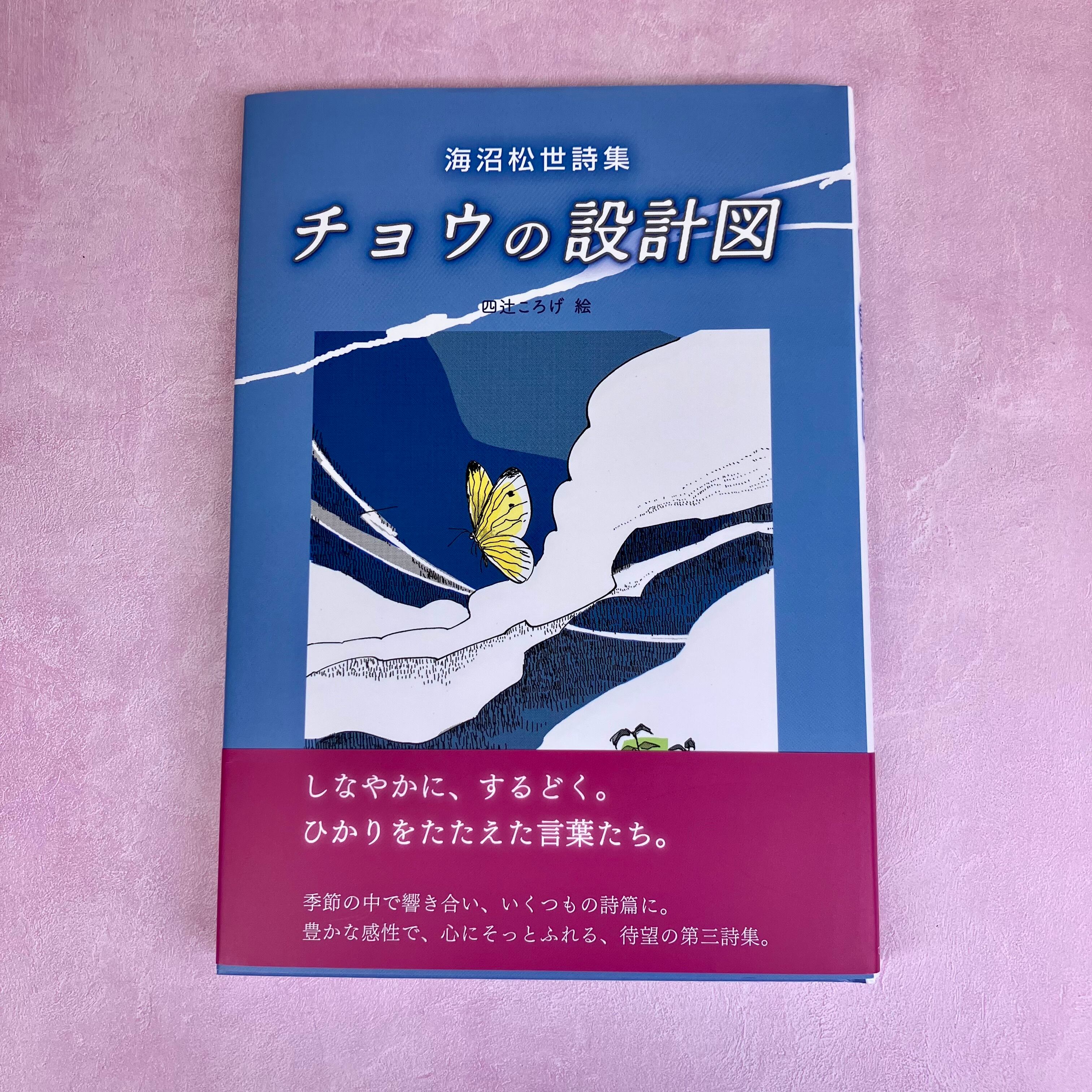 チョウの設計図 海沼松世詩集 | ホホホ座 西田辺 絵本・新刊本・古本