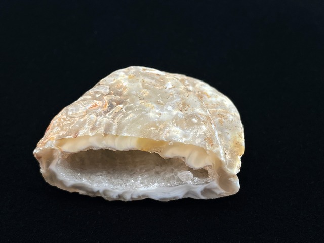 オープンジオード