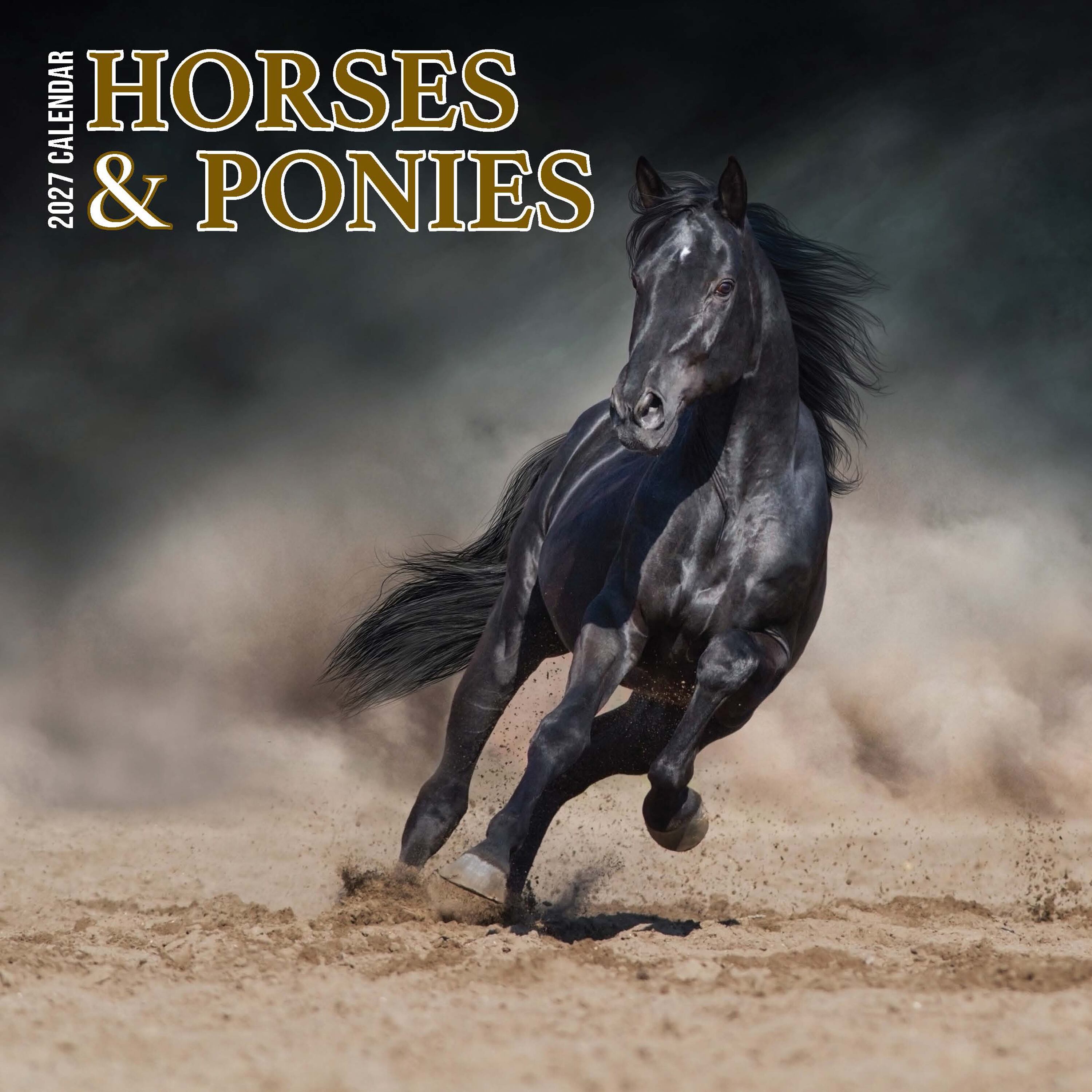【2027年版】英国製カレンダー【Horses and Ponies】 2027年版