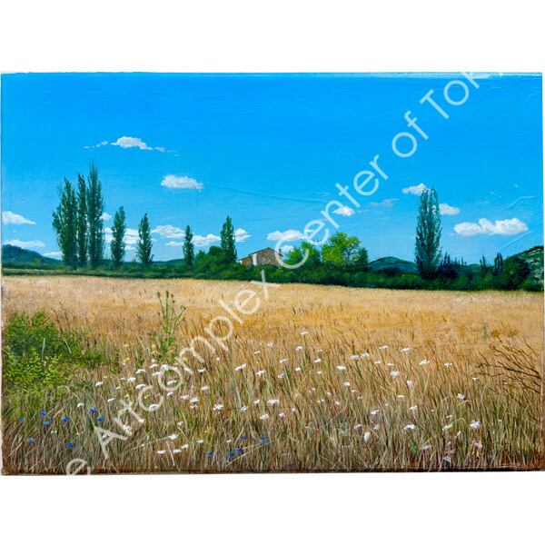 浅沼利信「モニュー村近郊」