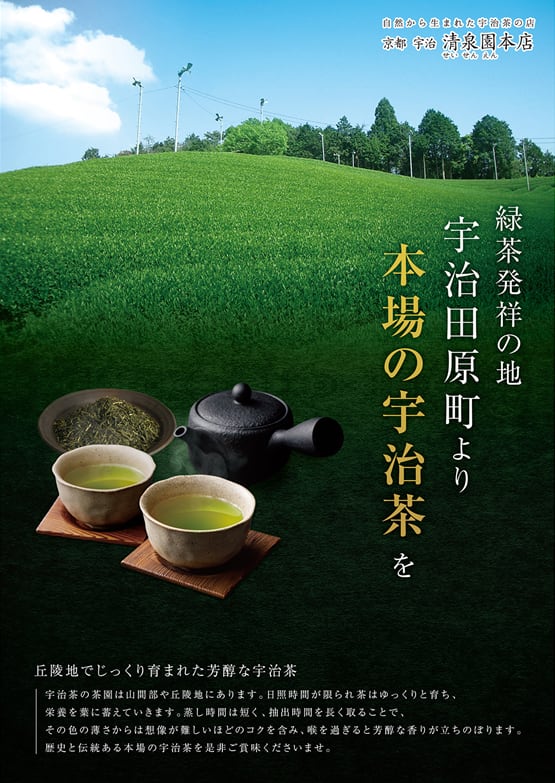 清泉園本店 宇治茶 玉露 300g缶 ギフト用 送料無料 老舗 清泉園 緑茶青汁 3g×30袋 宇治茶 玉露 京都産 産地厳選
