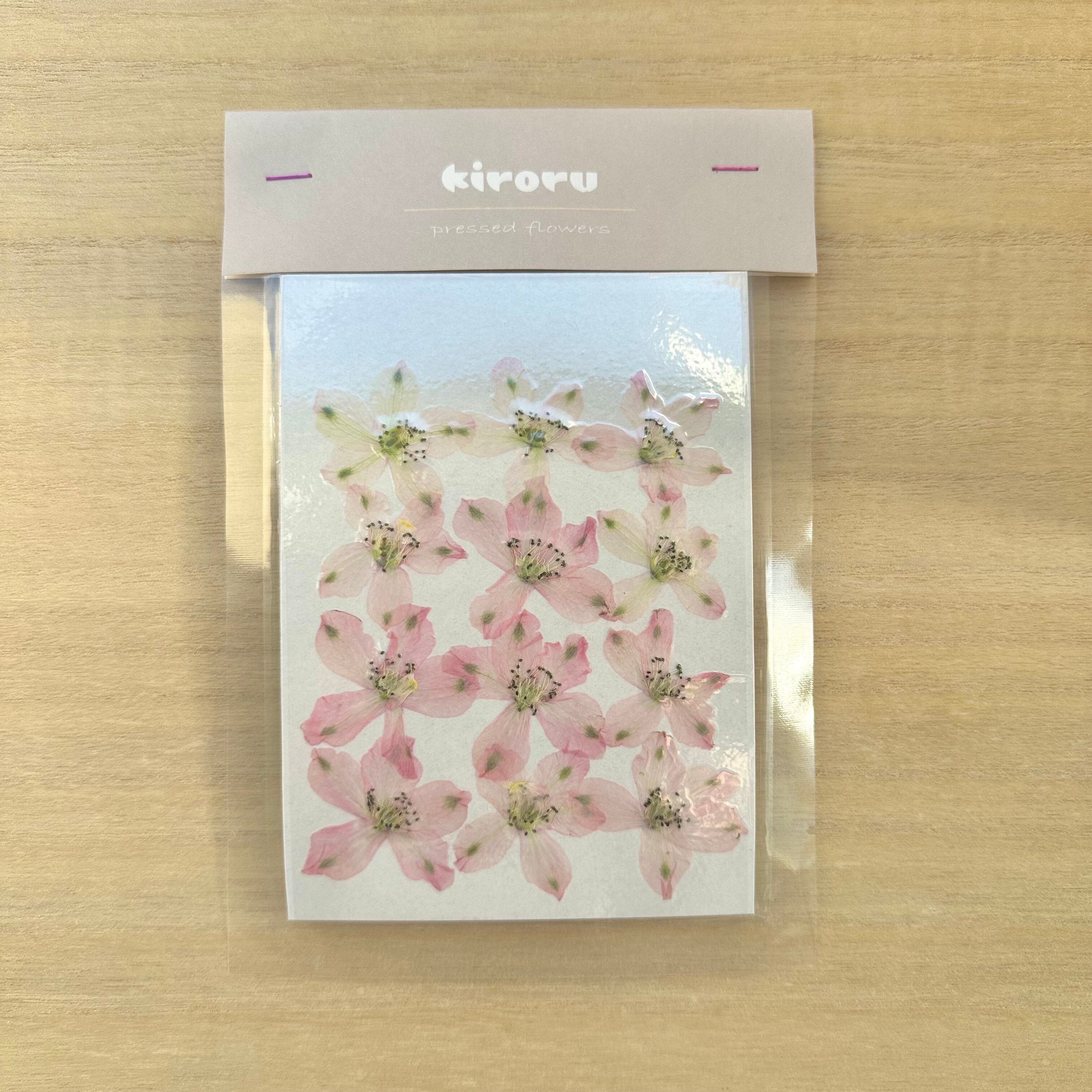 押し花】デルフィニウム(ピンク) 12輪 素材 花材 レジン キャンドル