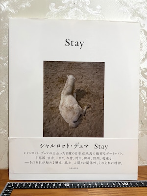 Stay  Charlotte Dumas シャルロット・デュマ