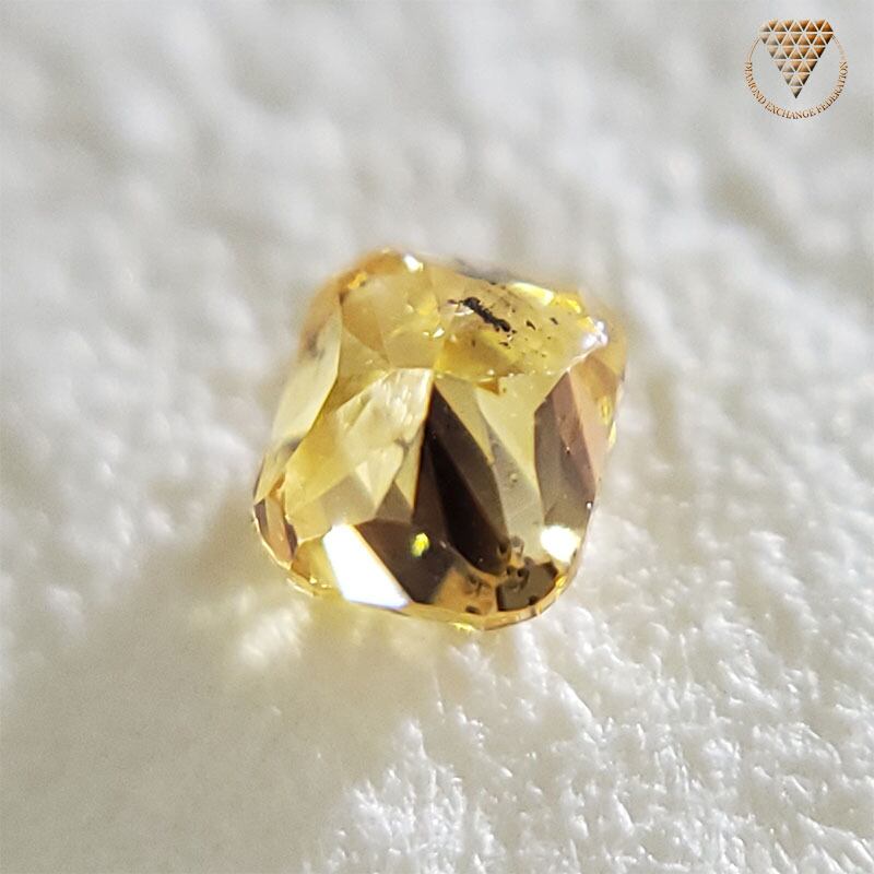 FANCY VIVID ORANGY YELLOW 0.087ct ラウンド-