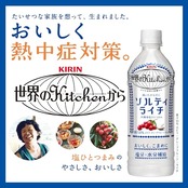 キリン 世界のKitchenから ソルティライチ 500ml 24本 ペットボトル 塩分・水分補給飲料 熱中症対策 スポーツドリンク