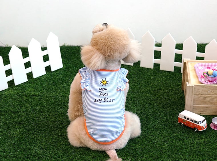 【SALE】sunny frill top S ~ XL 2color / 犬服 春夏 新作 袖なし トップス 可愛い ドッグウェア わんこ服 Tシャツ