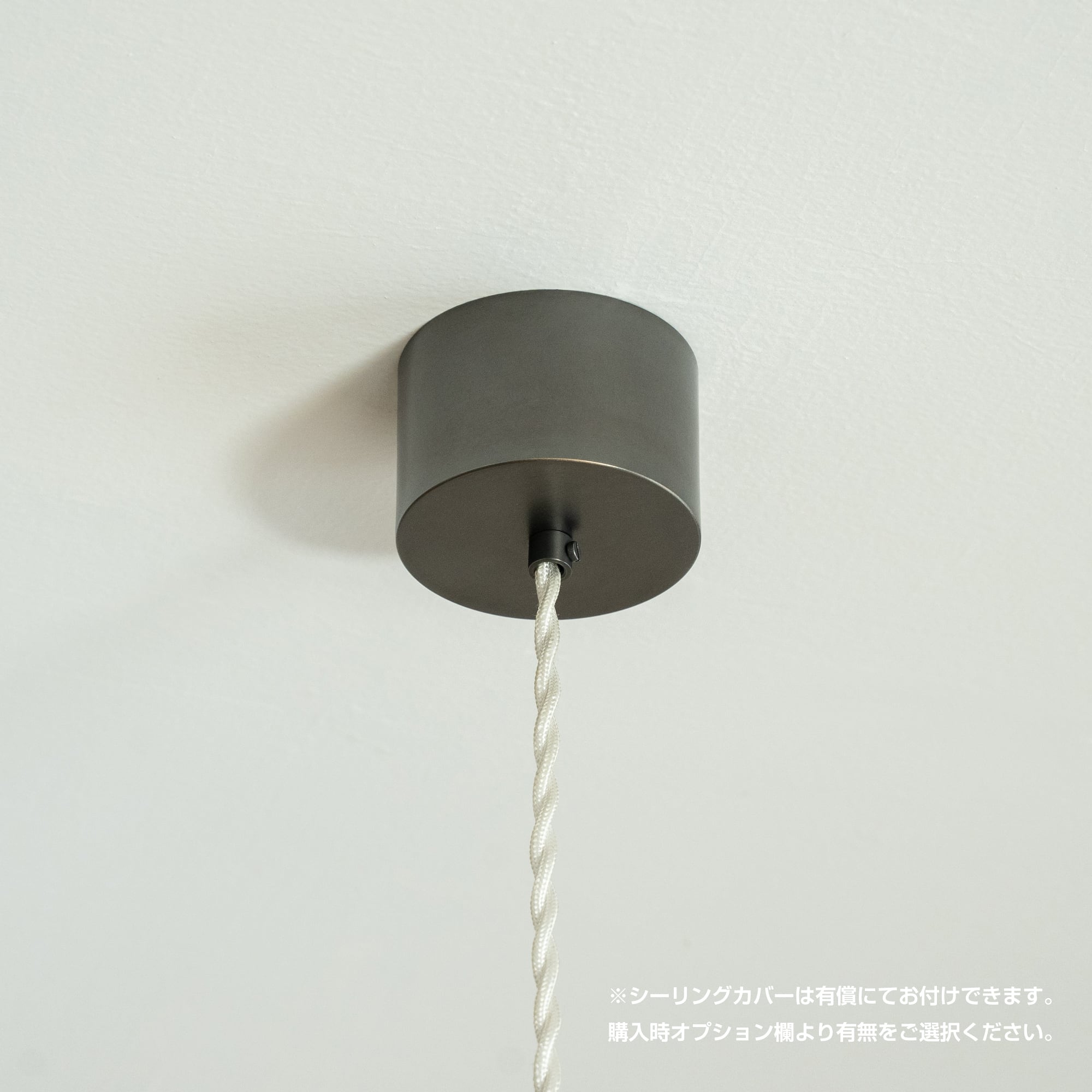 受注製作】ペンダントランプE17 ＜コリーヌ230＞ / 真鍮黒染め pendant