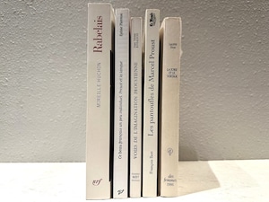 【SPECIAL PRICE】【DS438】’RABELAIS’-5set- /display book