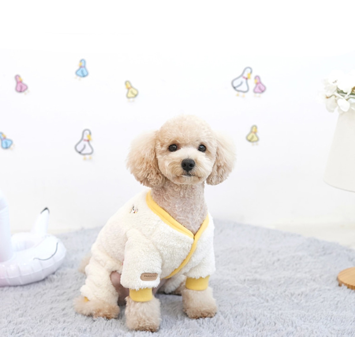 SALE】ボタンフリースオールインワン S ~ 2XL 2color / 犬服 秋冬 新作 