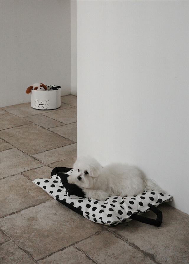 〈即納アイテム〉OHDIBS /Layer Pillow