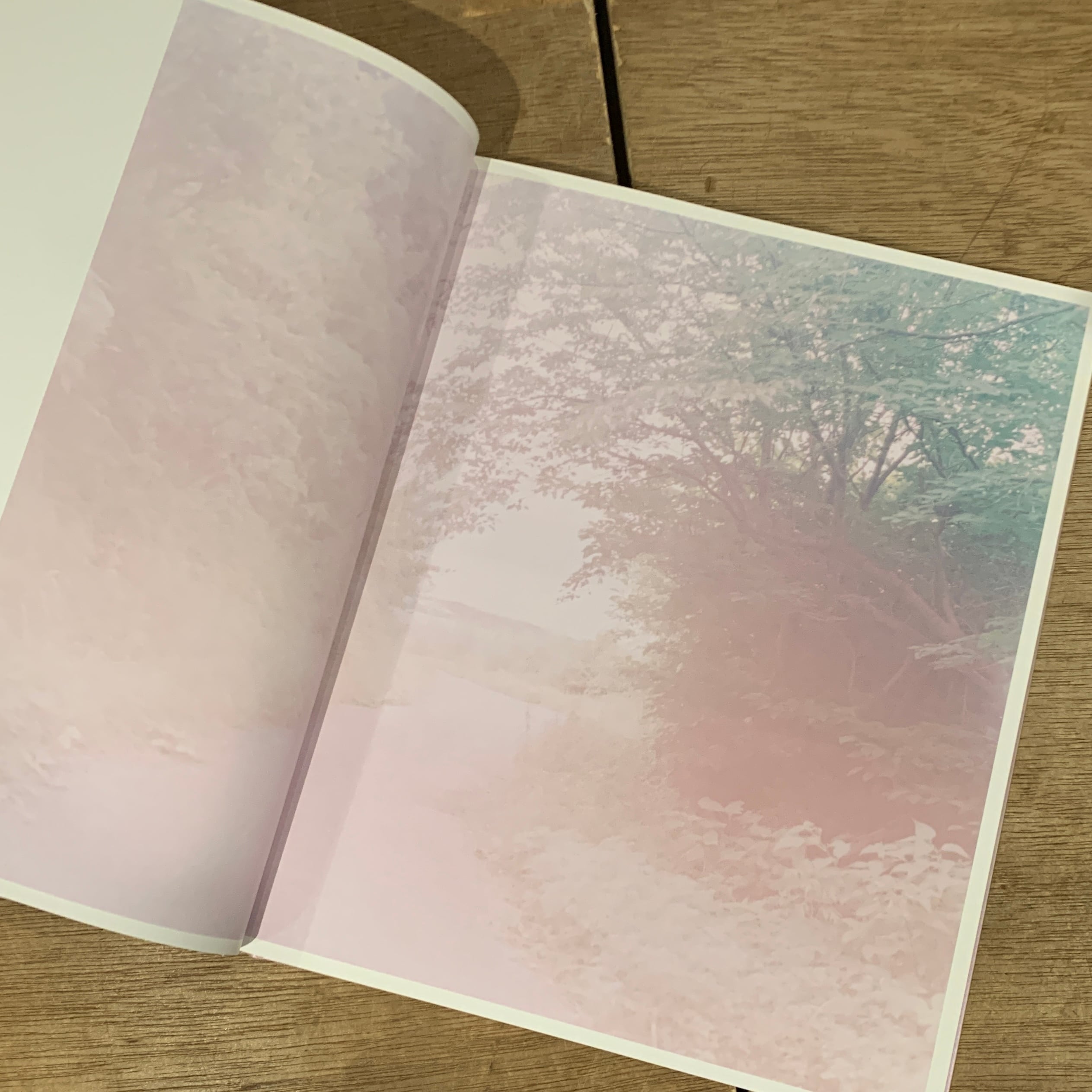 川が私を受け入れてくれた 川内倫子 The river embraced me