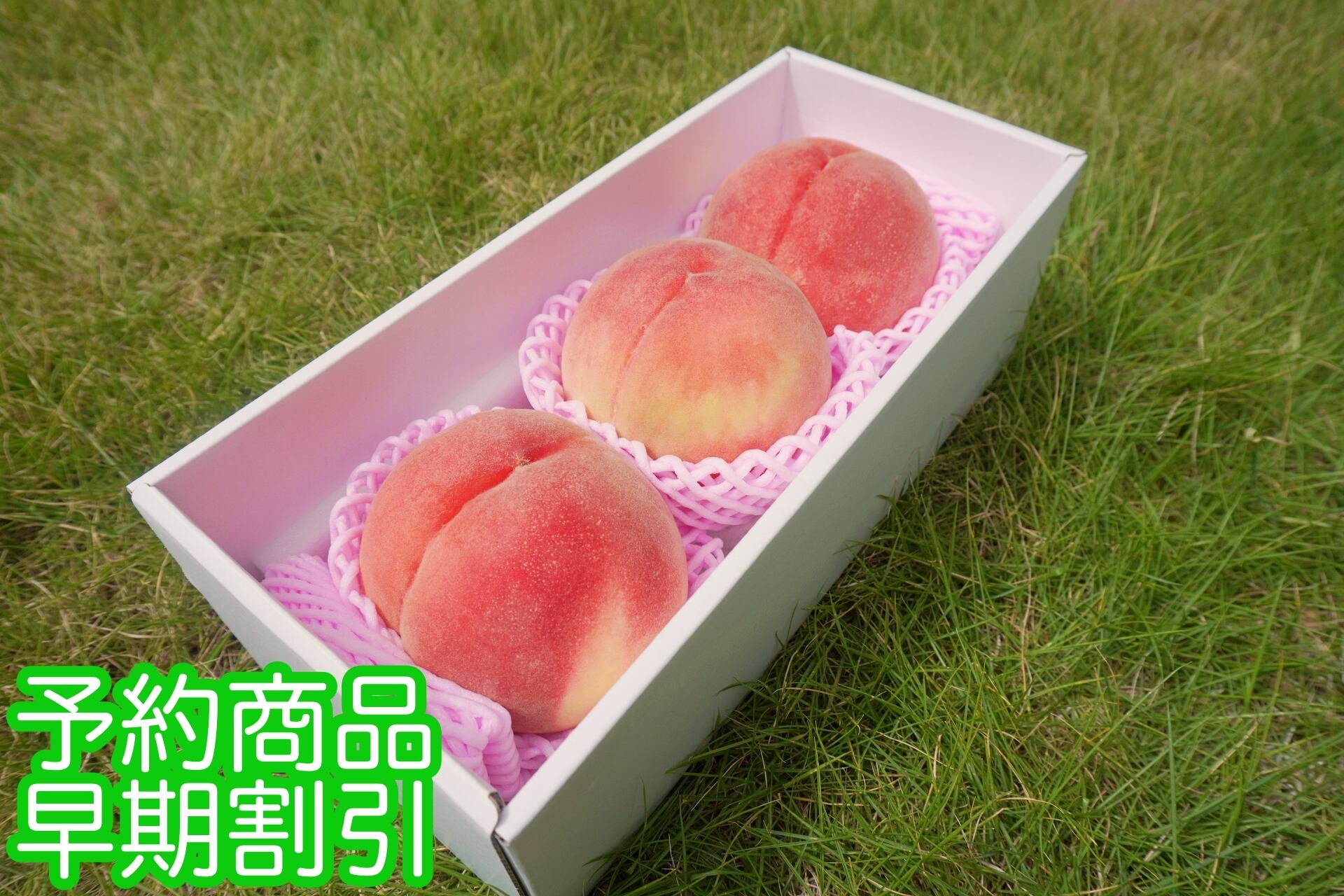 新鮮な緑色の桃 約30個入 新鮮な緑色の桃 約30個入