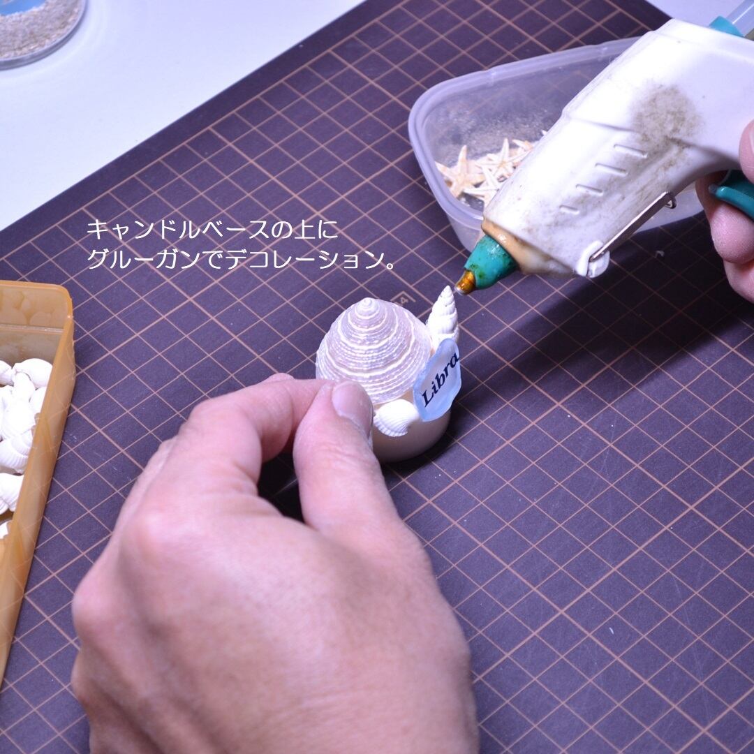 星座シェルランプ（7月 蟹座 Cancer）