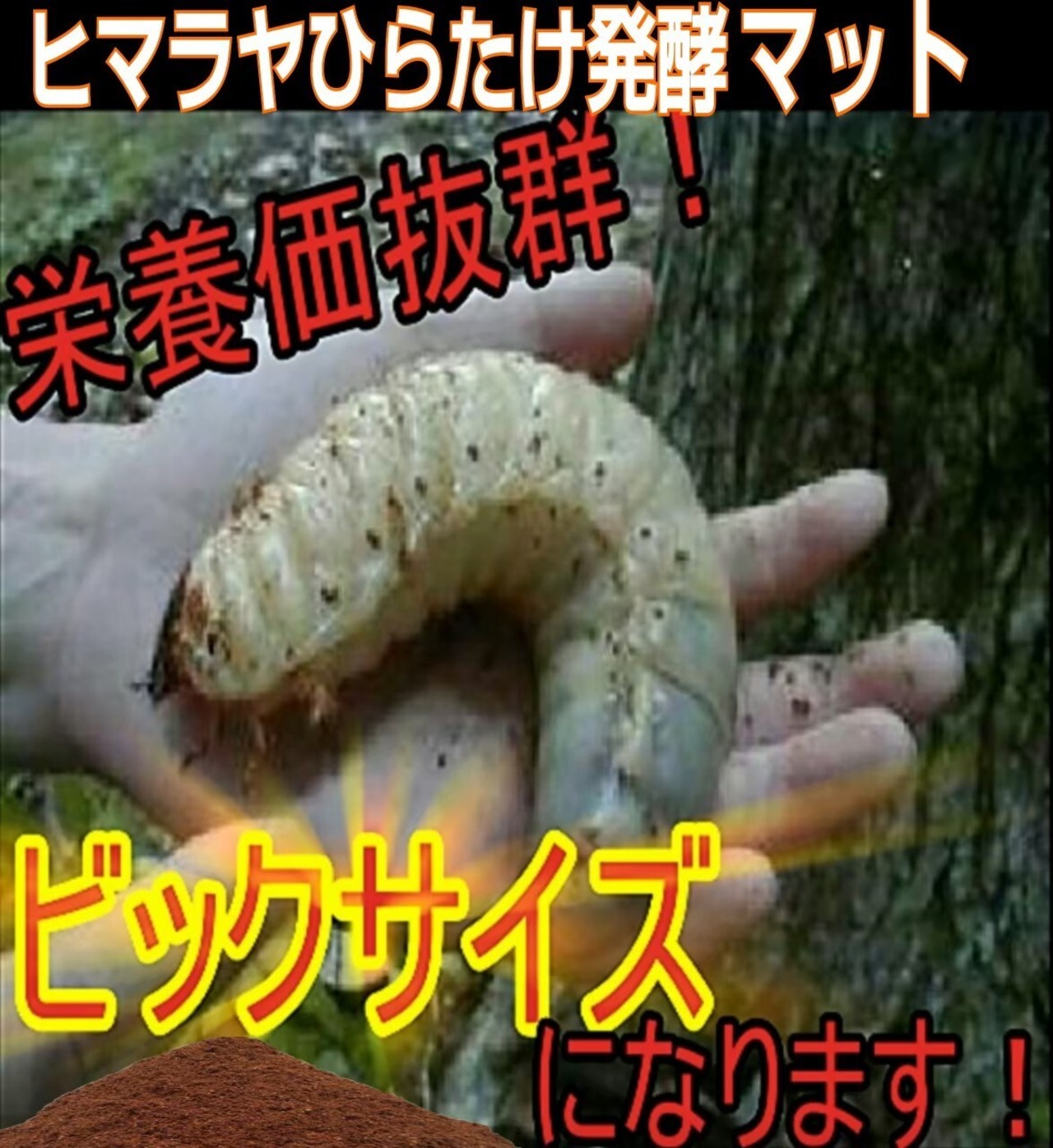 たっぷり200リットル】ハイコスパ発酵カブトムシマット 低価格で大量 