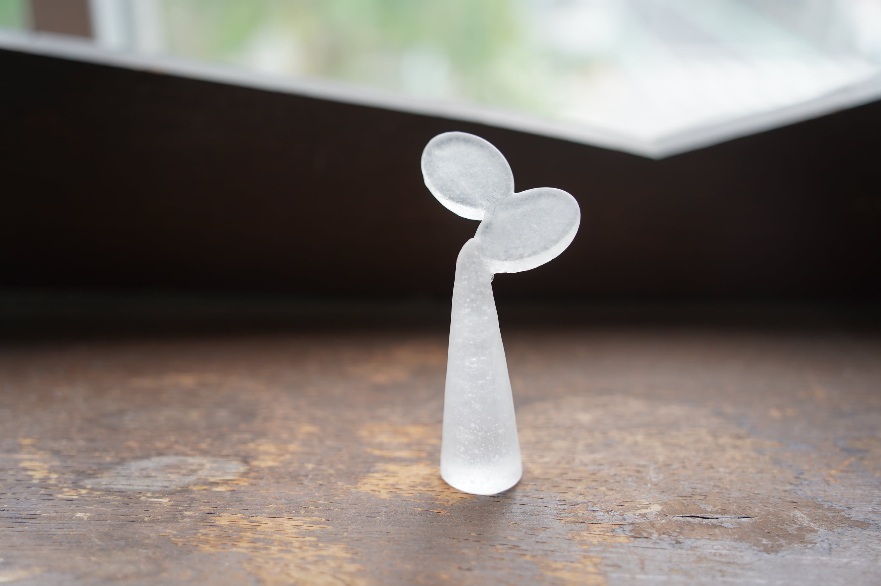 mowピジョンカップ 大 鈴木環 | proto器とタカラモノ