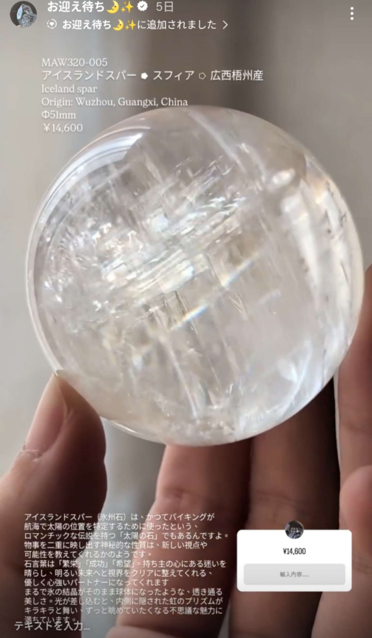 ⭔ お客様専用ページ ⭔ y____to様　