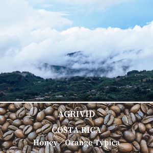 【優しい甘さが広がる】 オレンジティピカ ハニー コスタリカ 豆または粉/100g〜