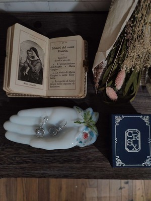 【SHORT DROPPED SUNLIGHT EARRING/(XX166) 】