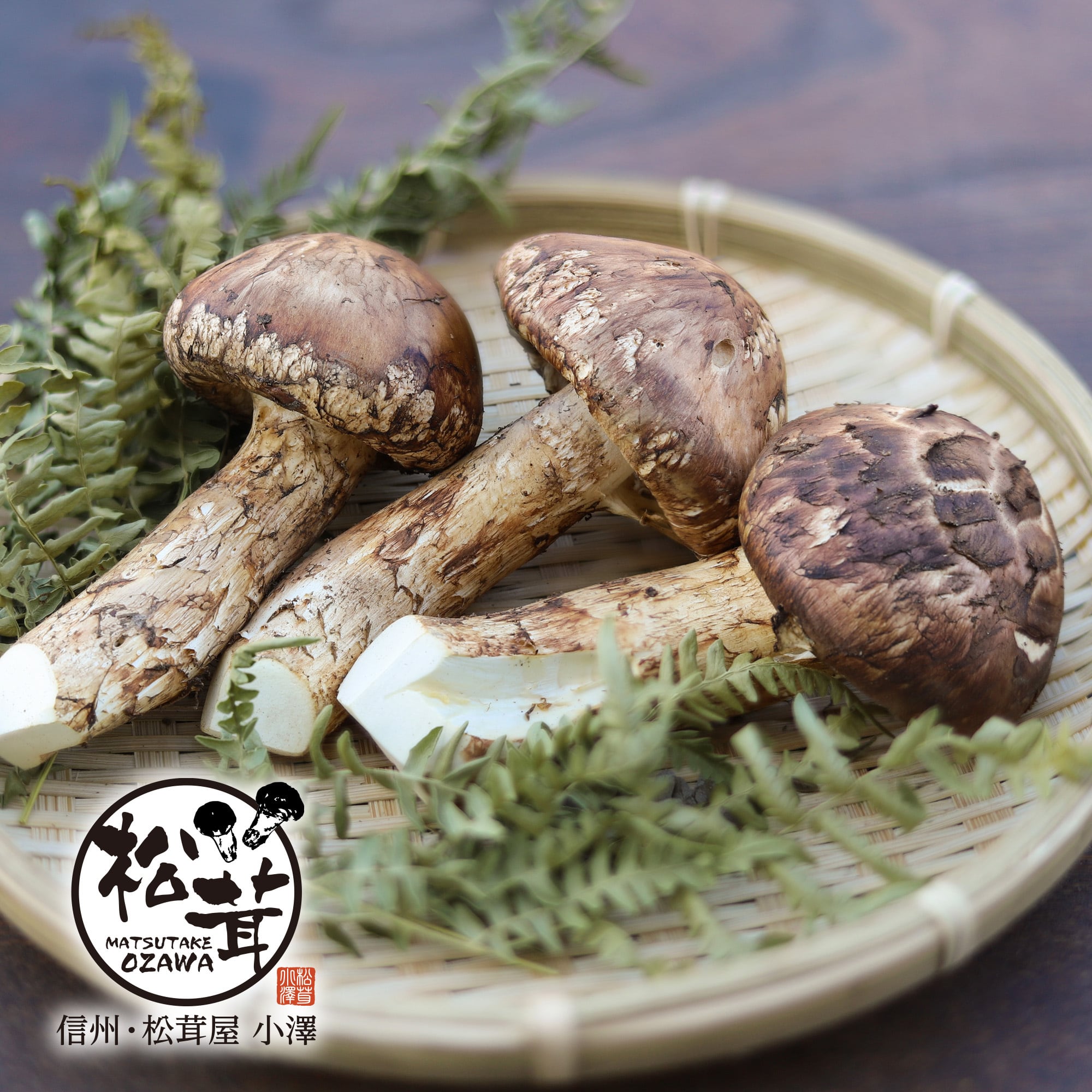 シーズン限定品 【小さめ ひらき松茸】 約400g（約10本） | 信州松茸屋