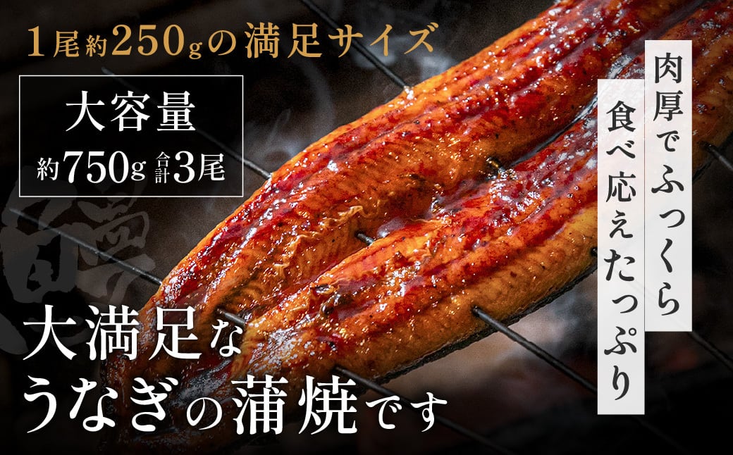 彦兵衛　国産うなぎ蒲焼3尾 国産うなぎ 鹿児島 鰻蒲焼3尾セット 定番 長蒲焼 ギフト お取り寄せ